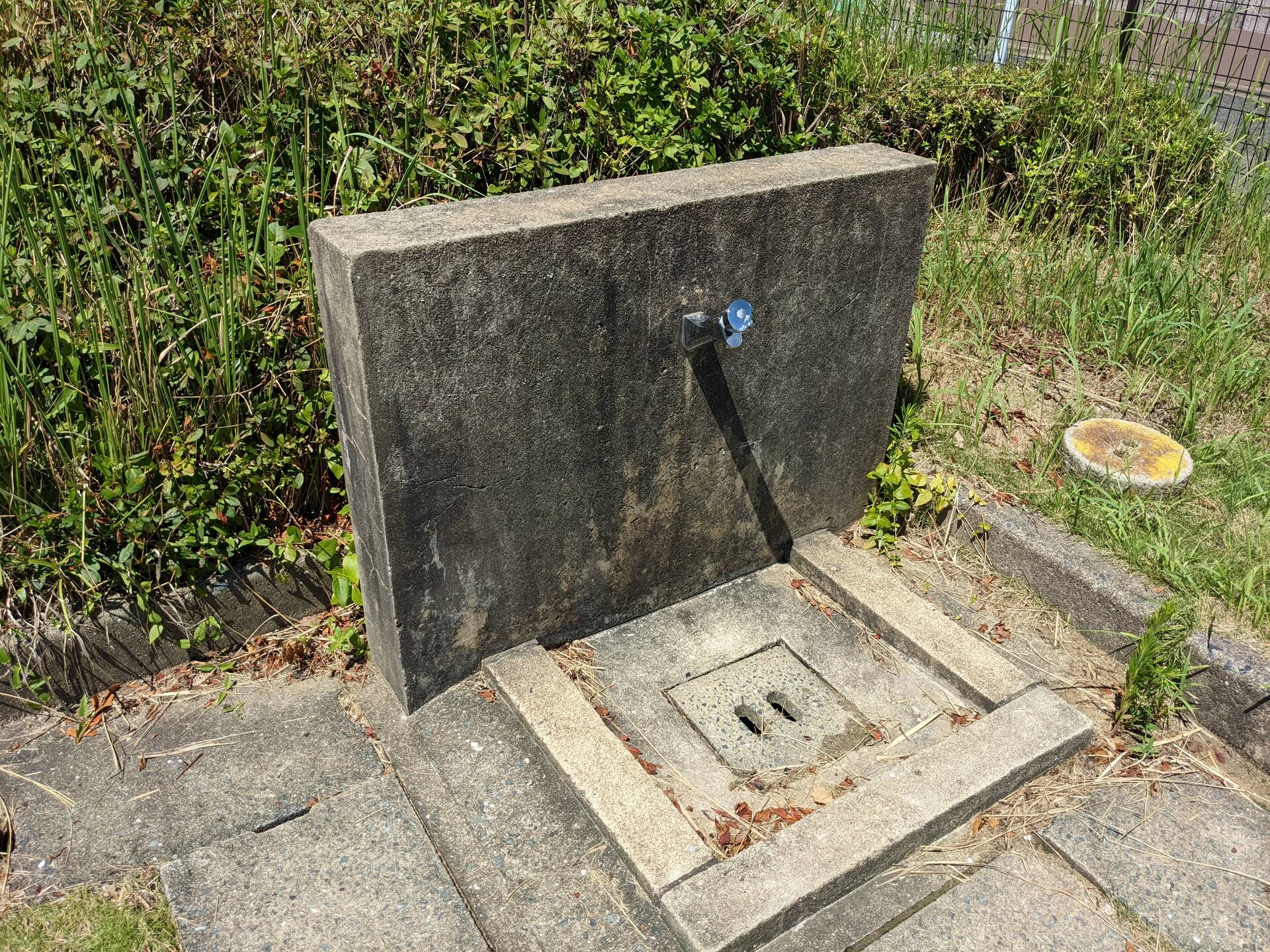 公園巡りパートⅡ