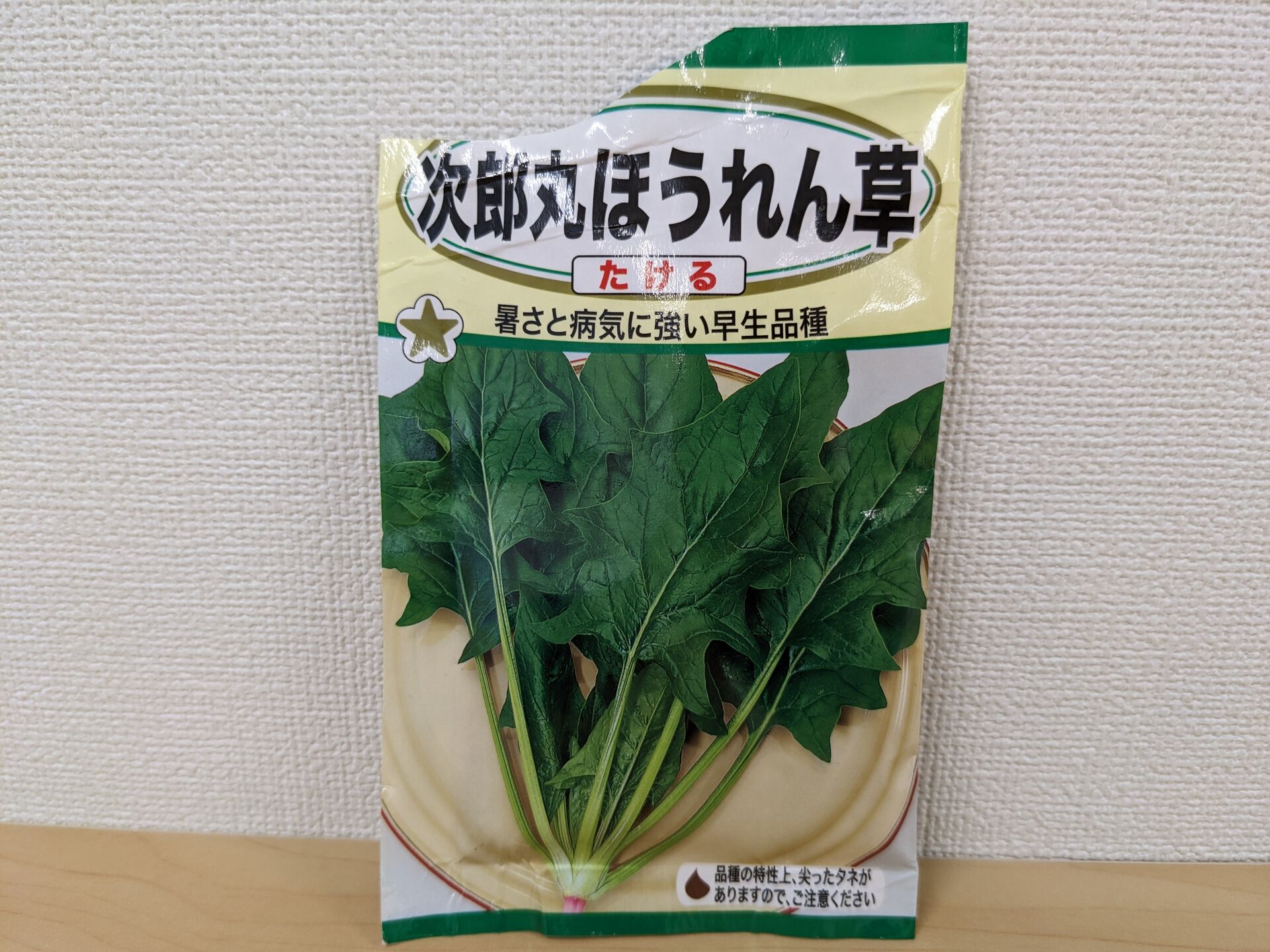 3種類の野菜の種を撒き、芽が出ました