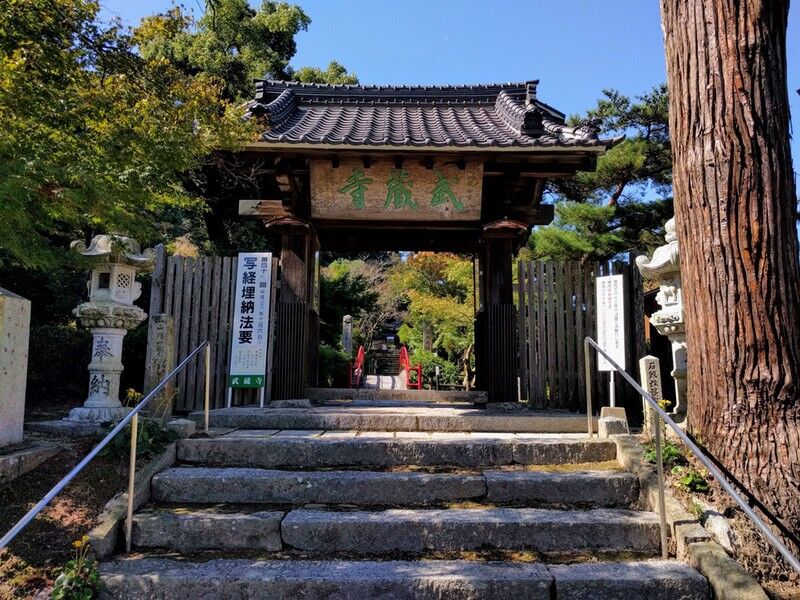 筑紫野市 藤と椿のマンホール