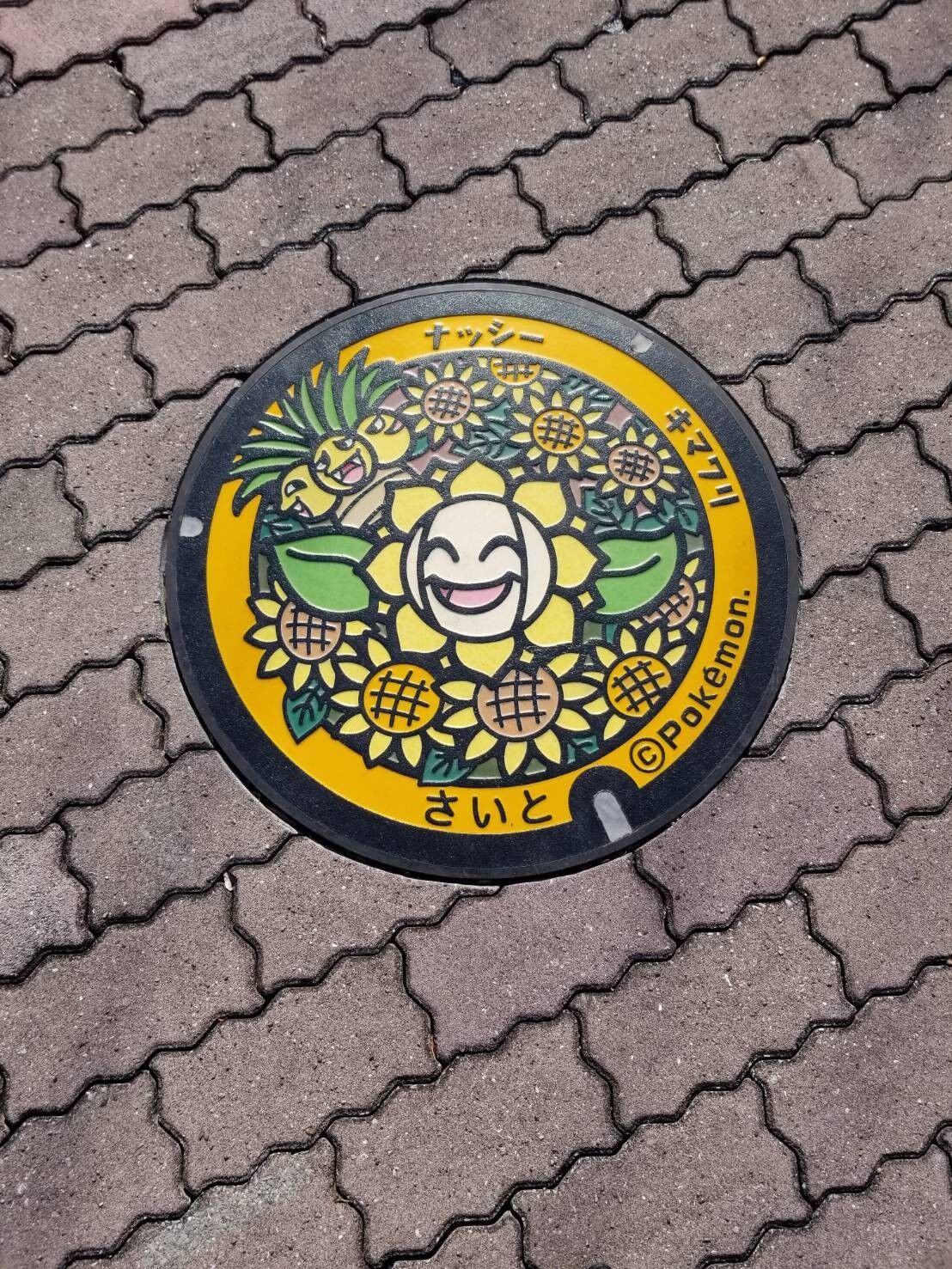 宮崎県西都市　ポケふた