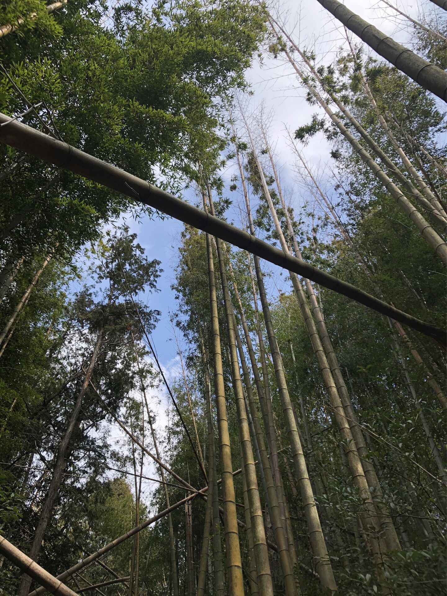 筑紫野市 奥天拝⇒大佐野山⇒天拝山 人生初の縦走！
