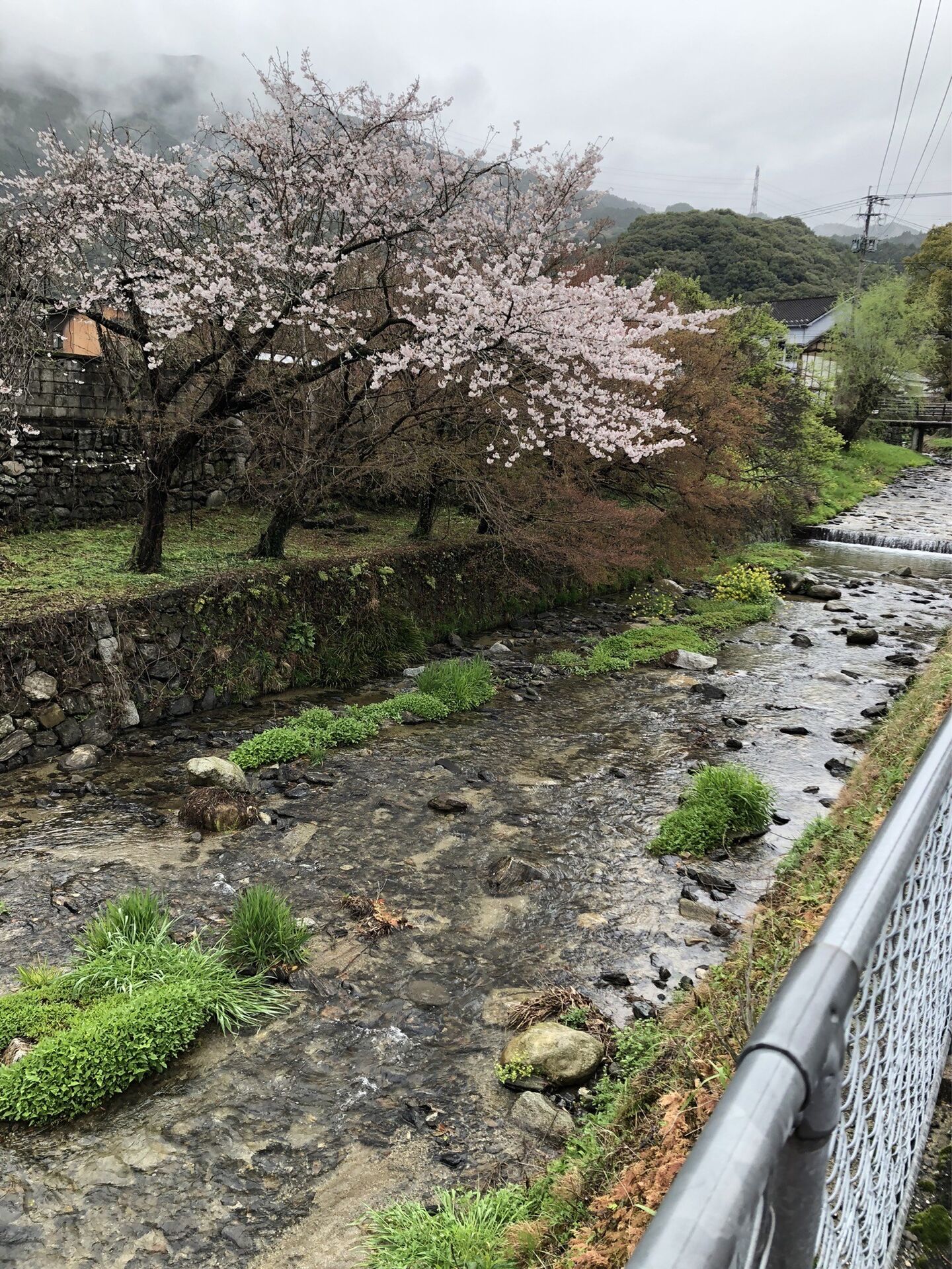 社員の休日～朝倉市～