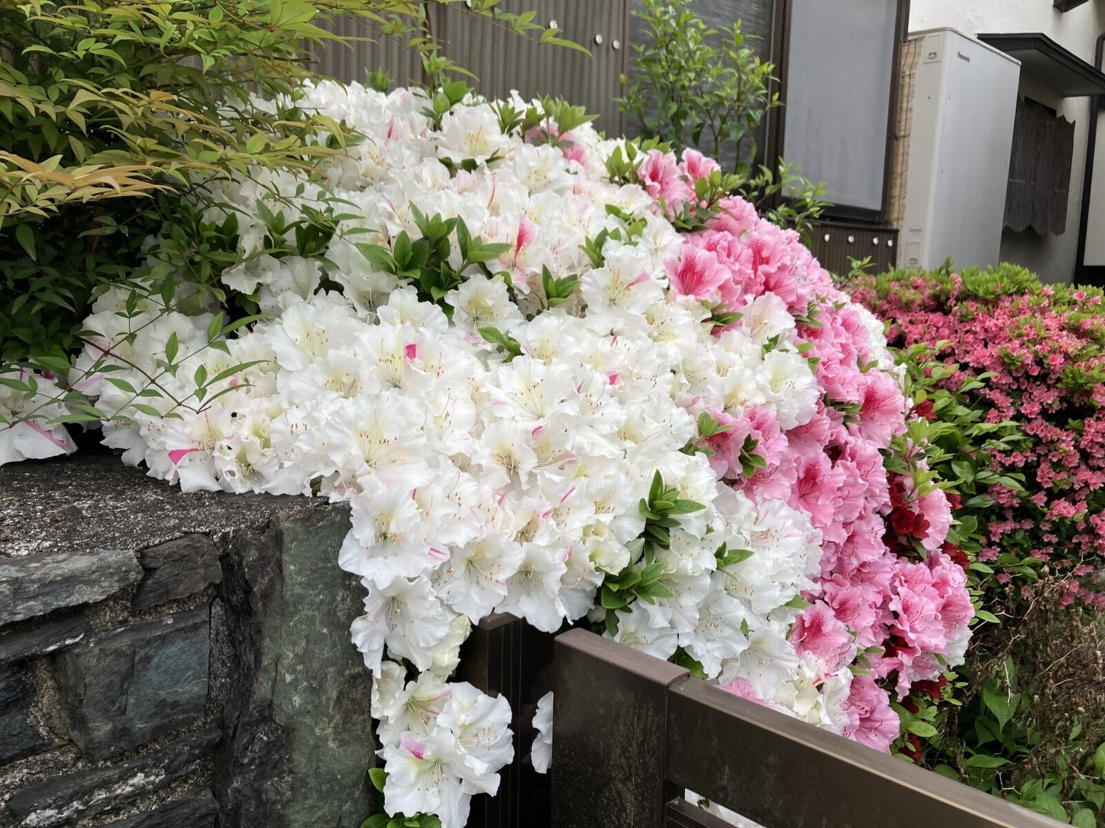 お花って癒されますよね