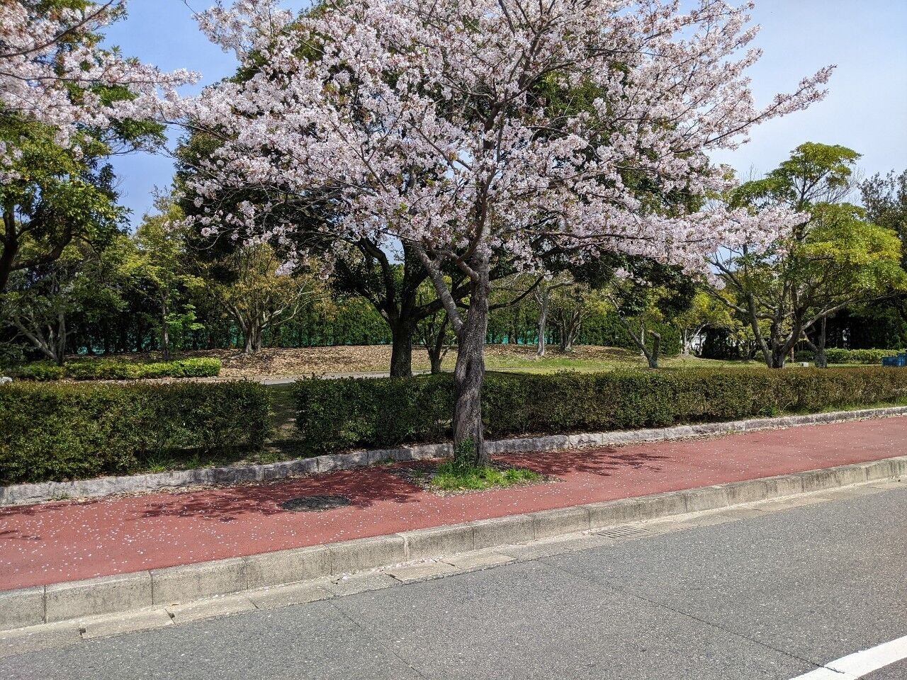 FUKU 51 MANHOLE～15か所目～【西区】今津運動公園前