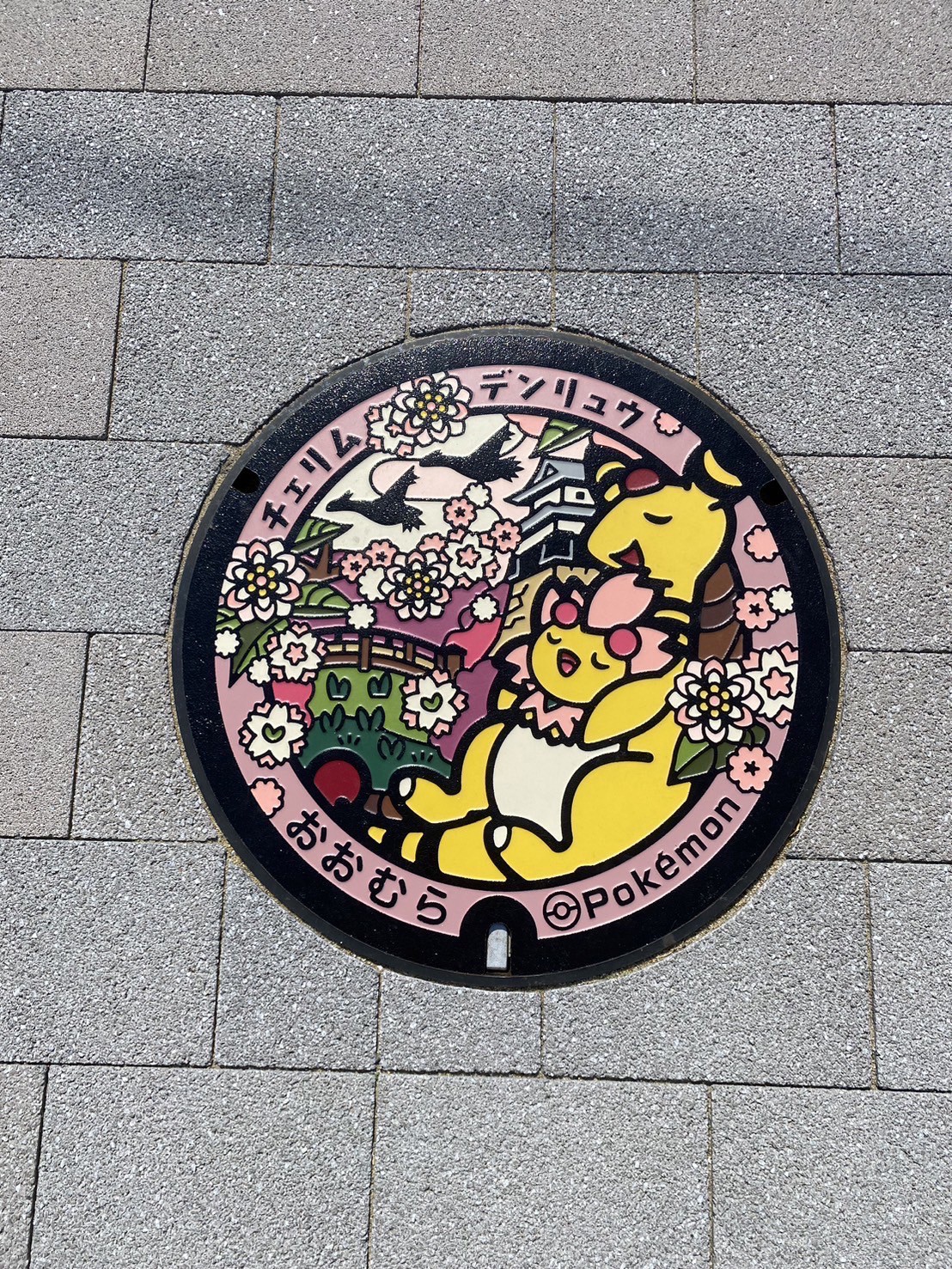 長崎県大村市　ポケふた